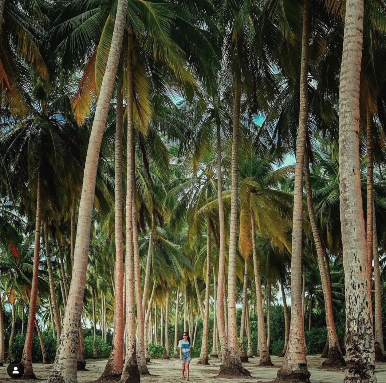 Suffix Retreat - Stay, Dive & Explore Fuvahmulah Eksteriør billede